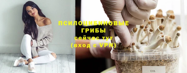кокс Абдулино